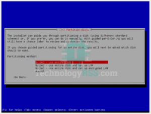 debian13-install-partition-disks